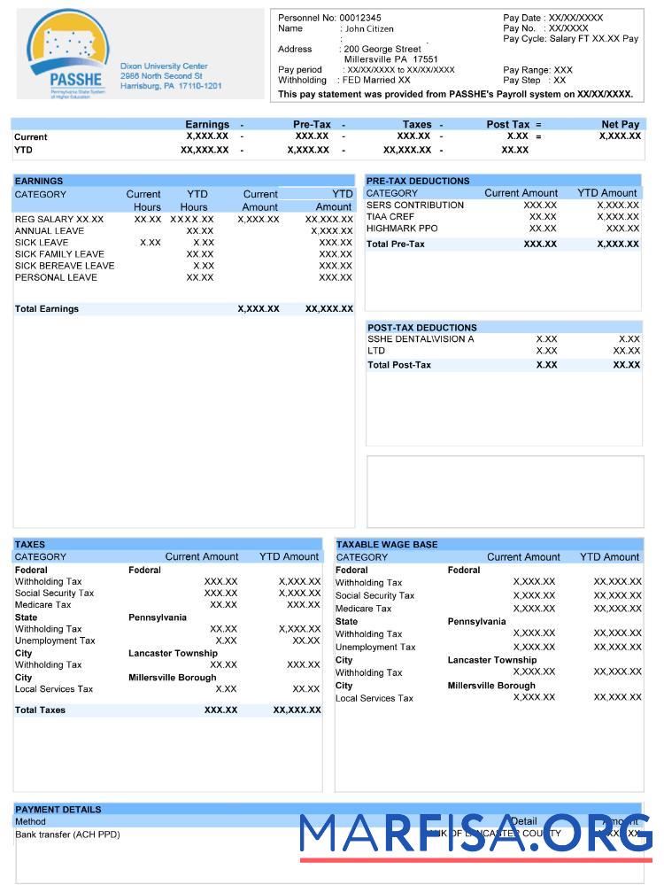 Realistic USA Dixon University center paystub real example